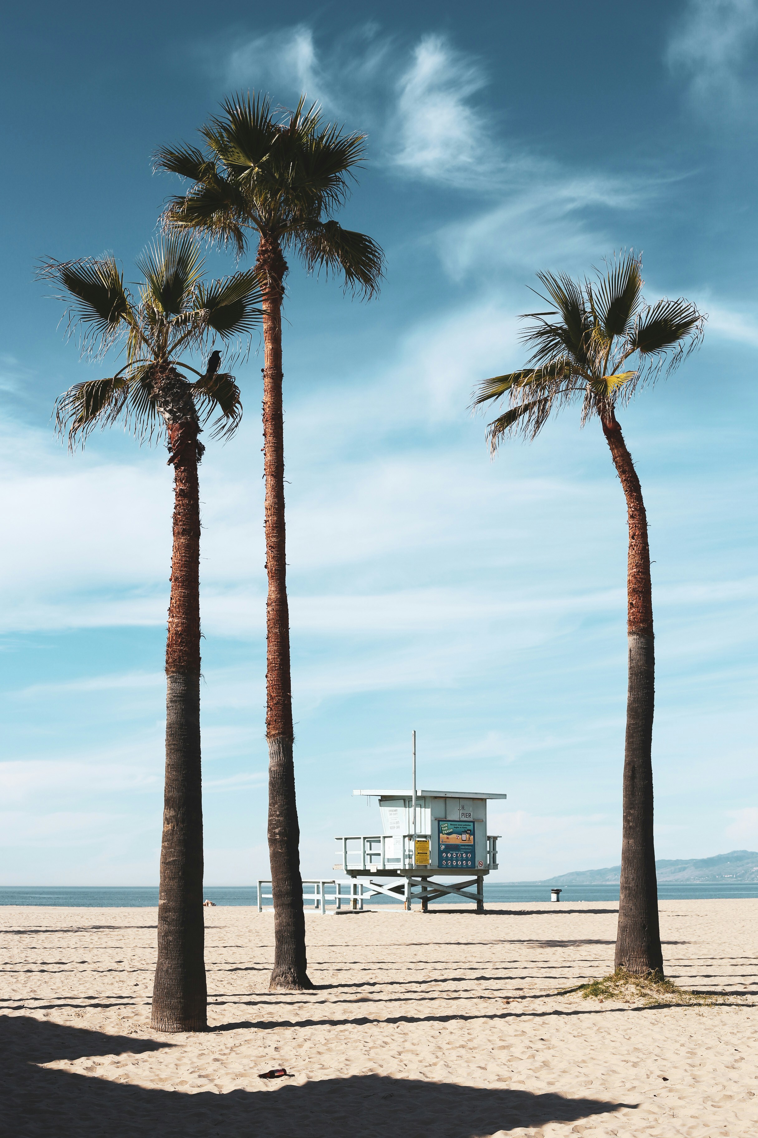 Venice Beach boardwalk and coastal trails in Los Angeles